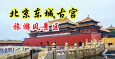 www.黑丝视频中国北京-东城古宫旅游风景区